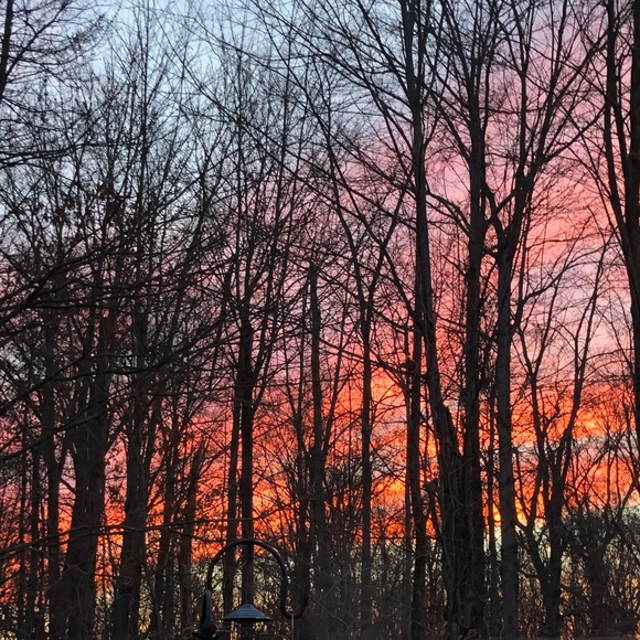 💜💛🧡Bookmark my closet by saving this listing so you can keep checking ba… - Picture 1 of 1